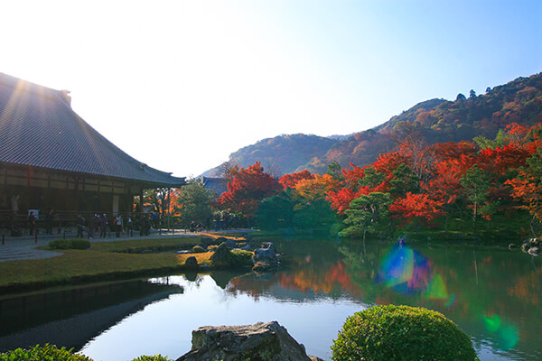 天龍寺の池