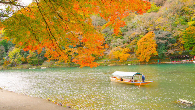 桂川沿い１