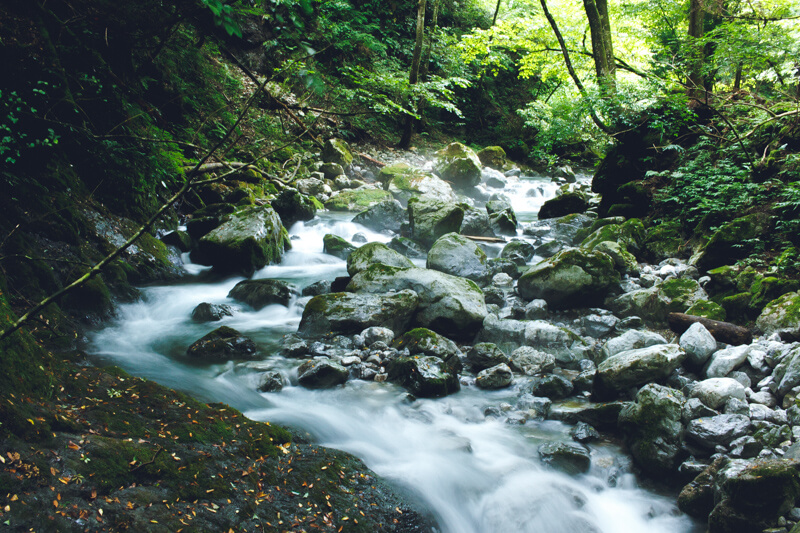 川の流し撮り