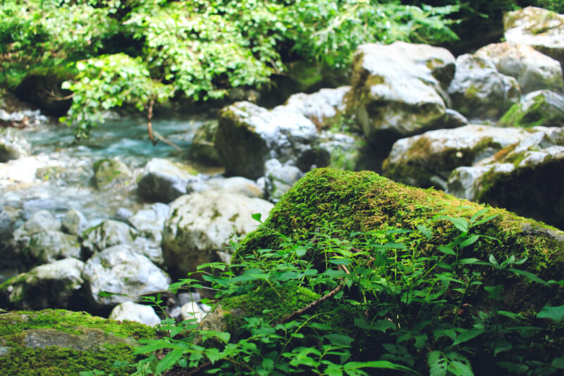 川沿いの岩