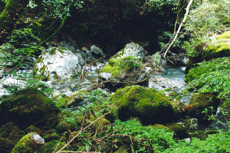 岩だらけの川