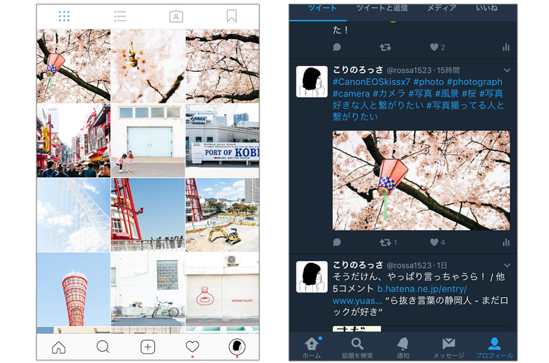 インスタグラムとTwitterのプレビュー画面