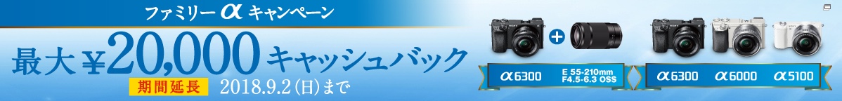 SONY キャッシュバックキャンペーン