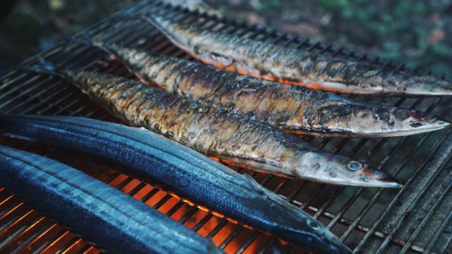 秋キャンプといえば秋刀魚な写真