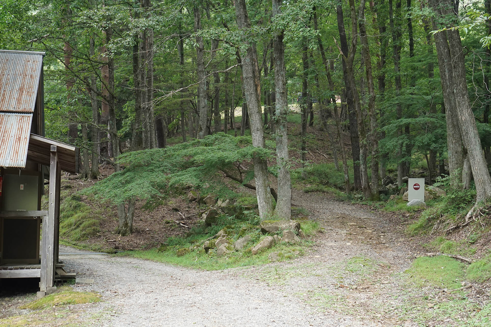 分かれ道の写真